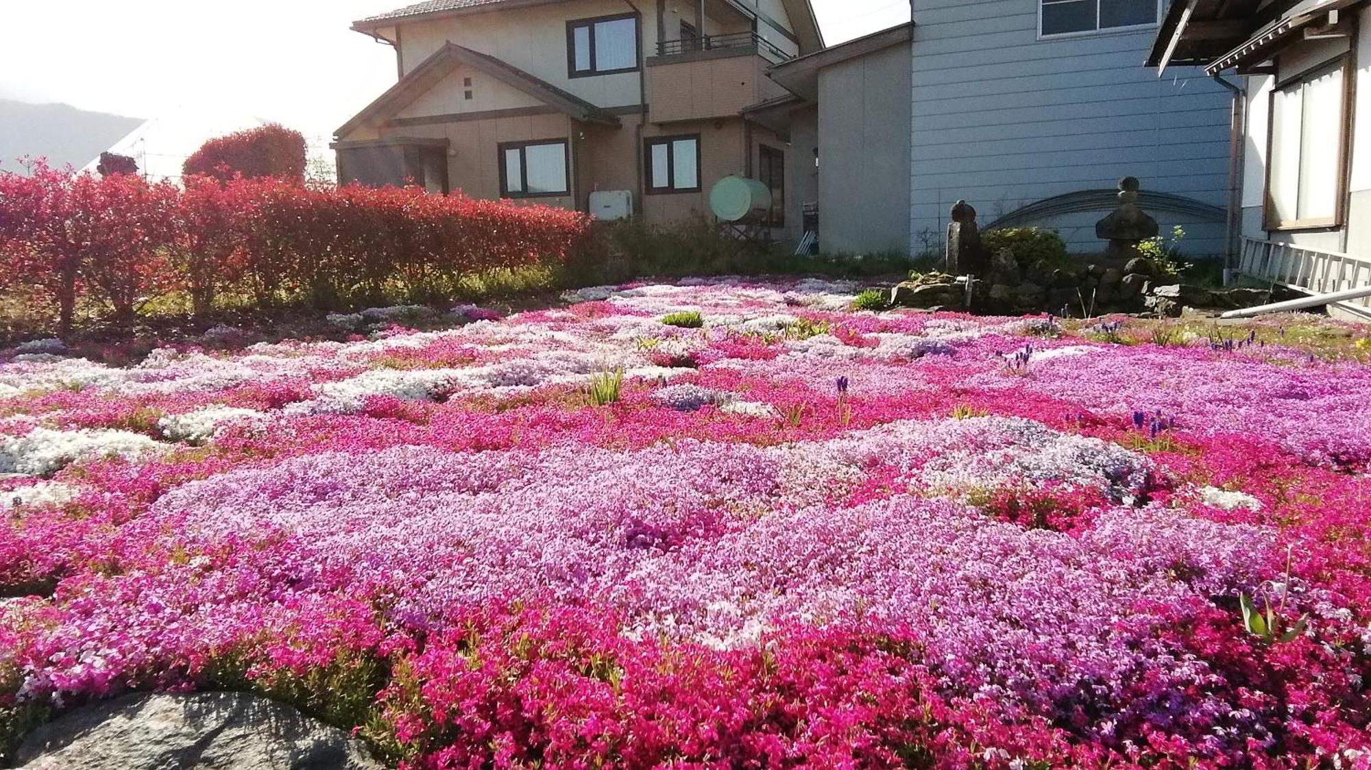 Guest House Honami-Kaido 야마노우치 외부 사진